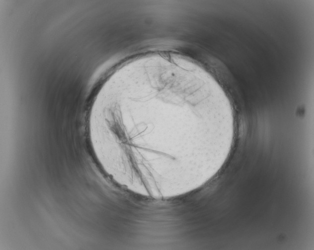 X0000113161164200910161237