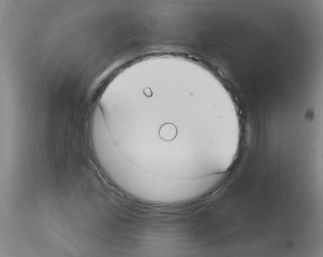 X0000113161165200910161237