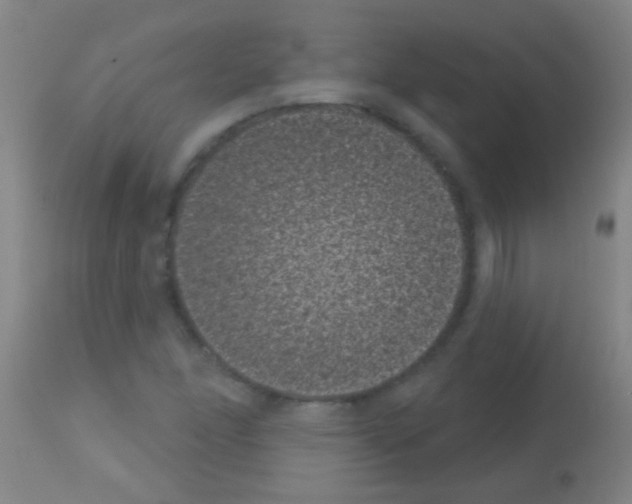 X0000113161166200910161237