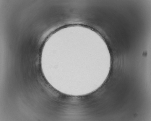 X0000113161167200910161237