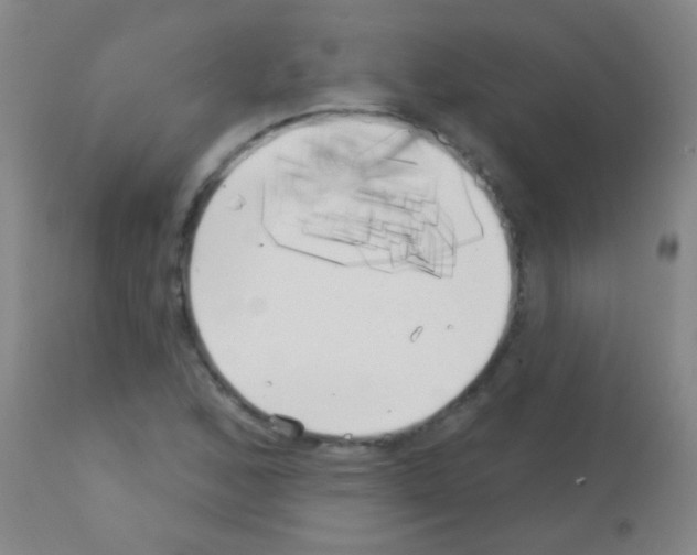 X0000113161168200910161237