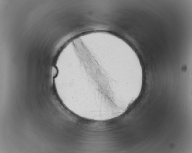 X0000113161171200910161237