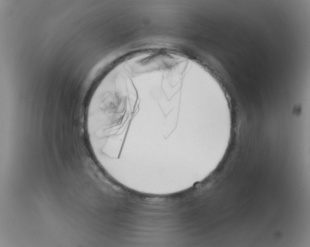 X0000113161172200910161237