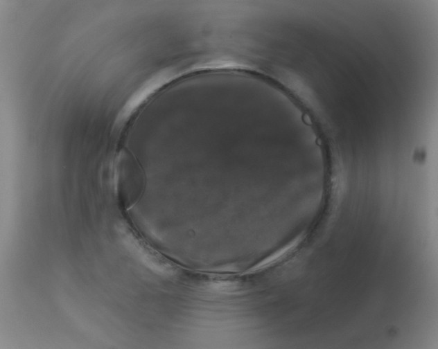 X0000113161173200910161237