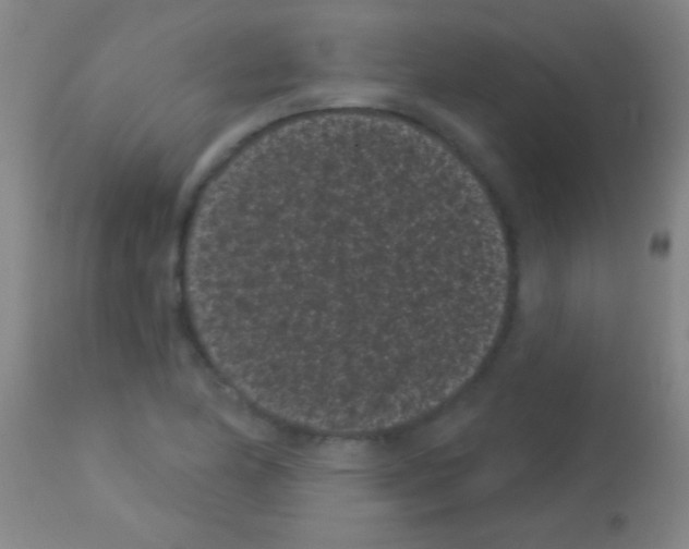 X0000113161174200910161237