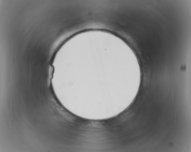 X0000113161175200910161237