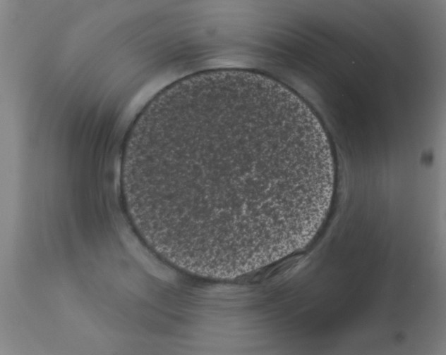 X0000113161179200910161236