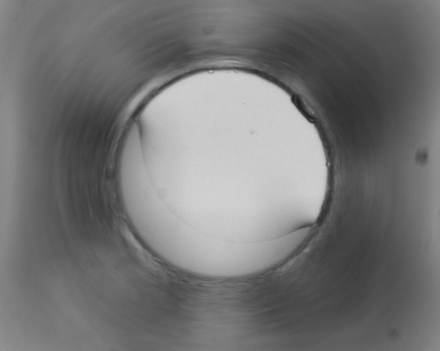 X0000113161181200910161236