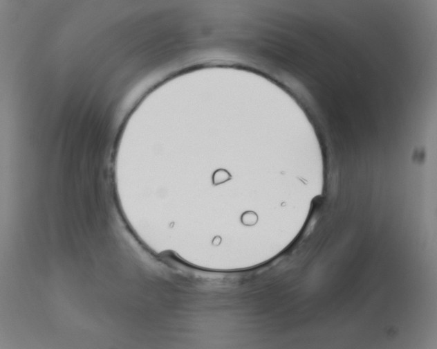 X0000113161183200910161236