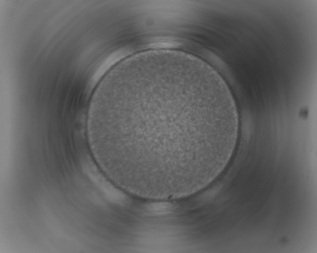 X0000113161186200910161236