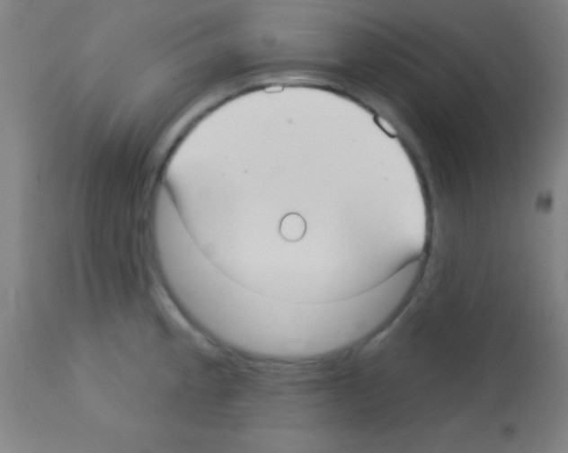 X0000113161189200910161236