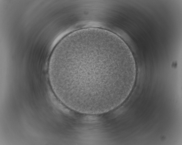 X0000113161190200910161236