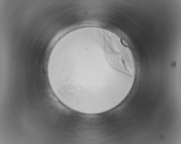 X0000113161192200910161236