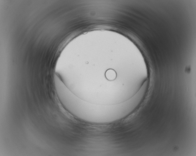 X0000113161193200910161236