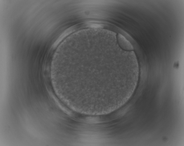 X0000113161194200910161236