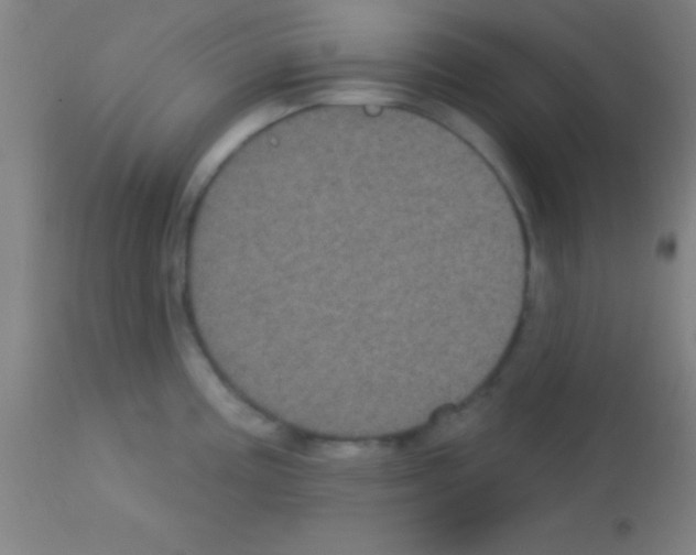 X0000113161195200910161236