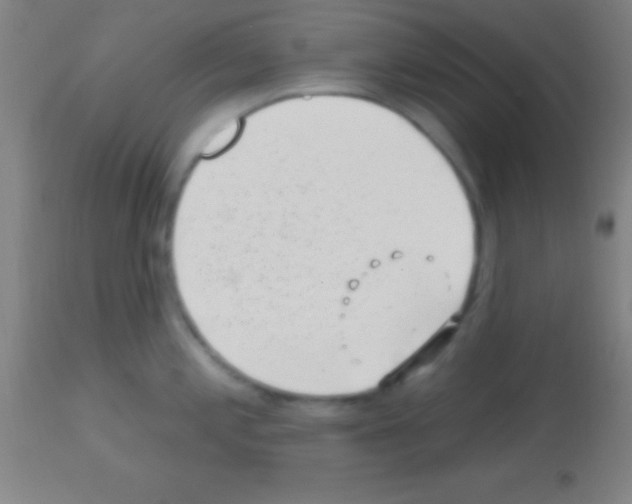 X0000113161197200910161236