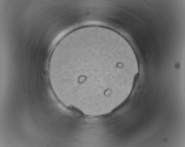 X0000113161199200910161236