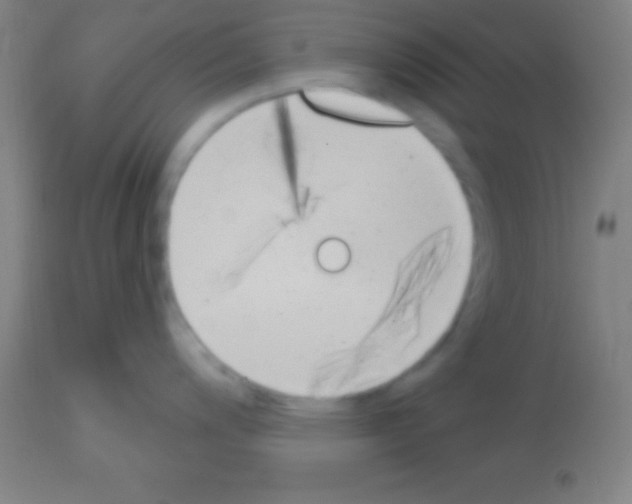 X0000113161200200910161236