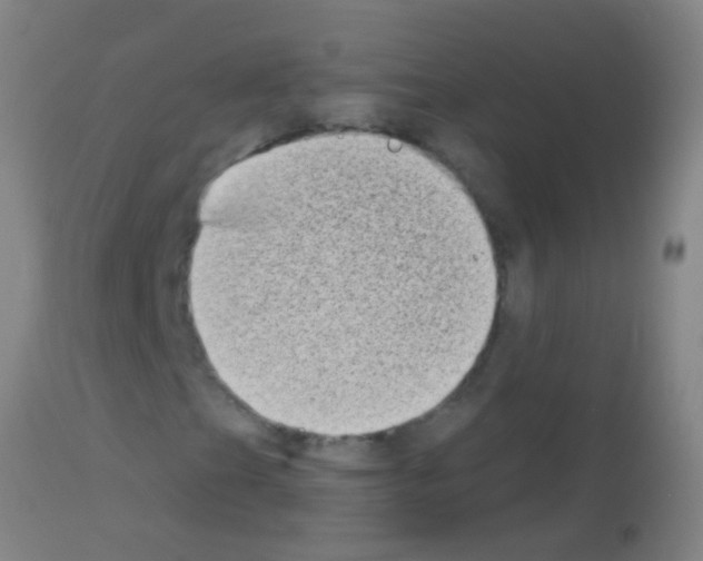 X0000113161201200910161235