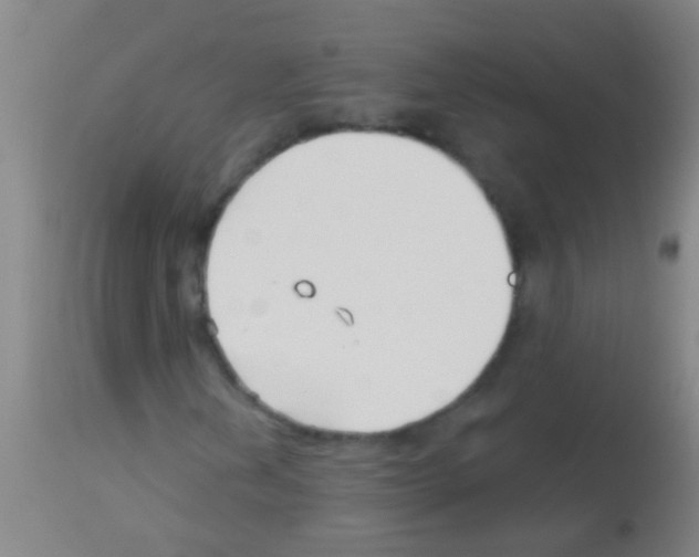 X0000113161202200910161235