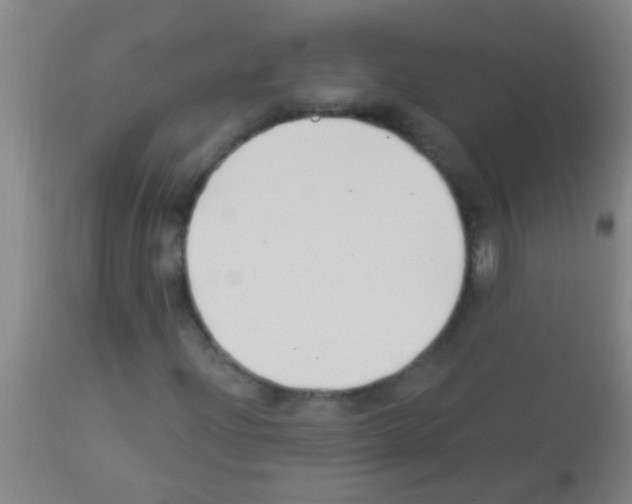 X0000113161204200910161235