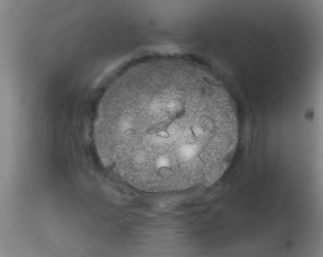 X0000113161205200910161235