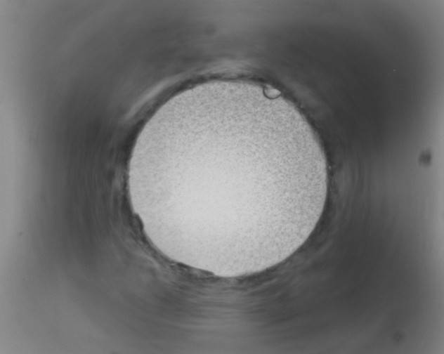 X0000113161206200910161235