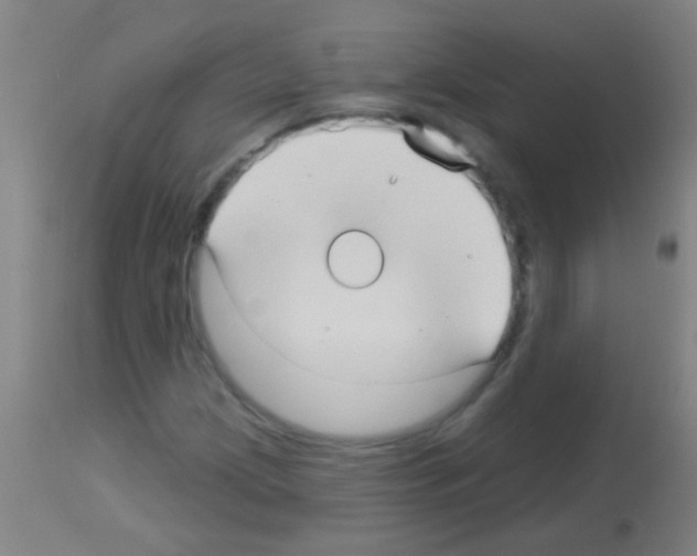 X0000113161209200910161235