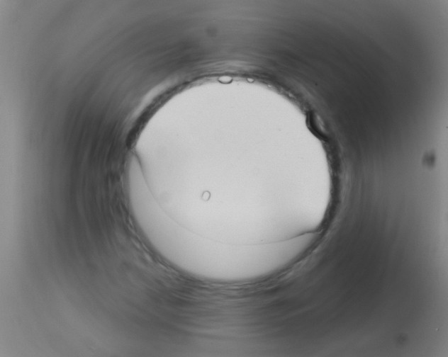 X0000113161210200910161235