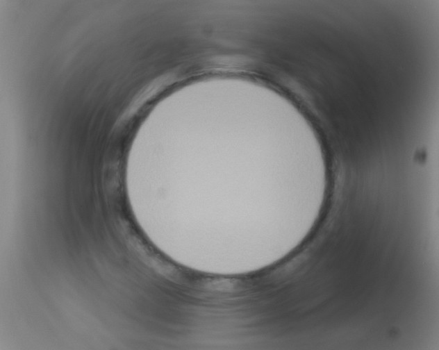 X0000113161211200910161235