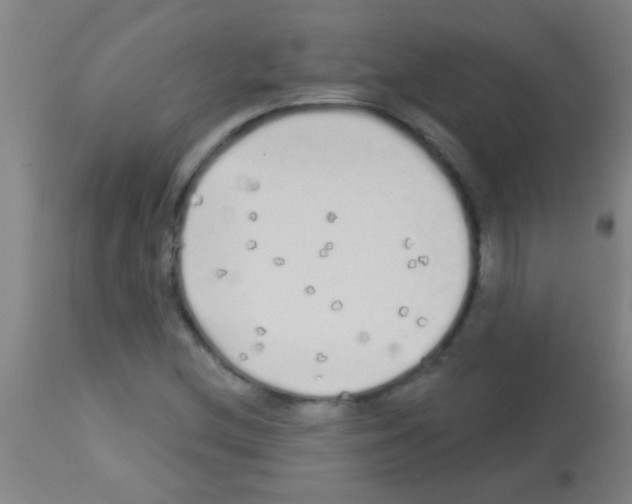 X0000113161212200910161236