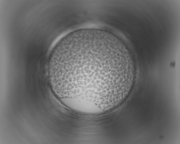 X0000113161216200910161236