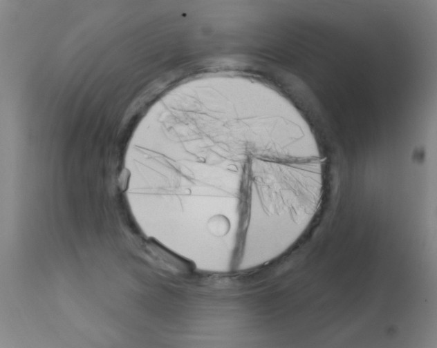 X0000113161217200910161236