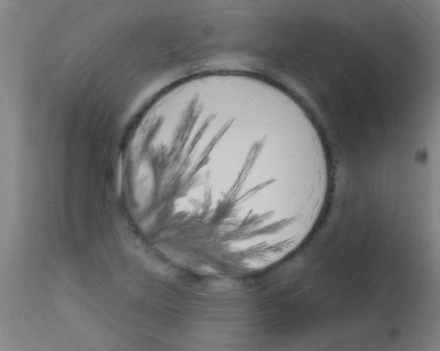 X0000113161219200910161236