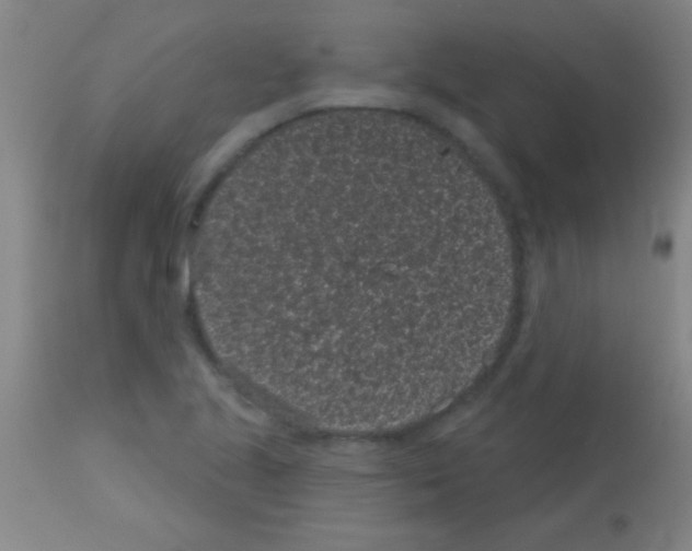 X0000113161221200910161236