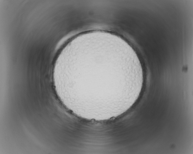 X0000113161222200910161236