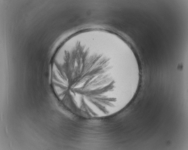 X0000113161223200910161236