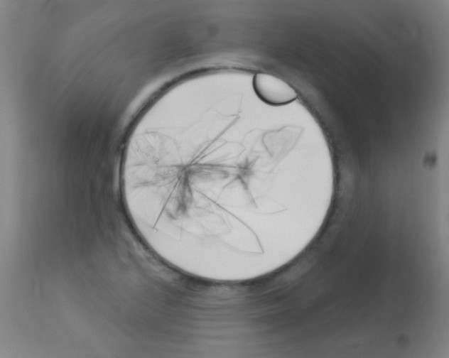 X0000113161224200910161236