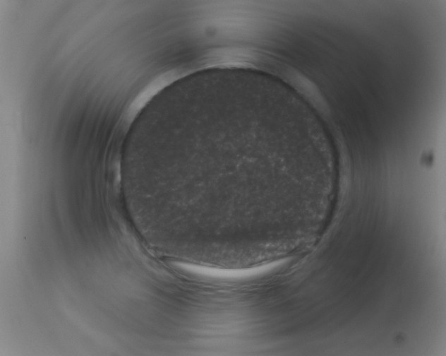 X0000113161226200910161236