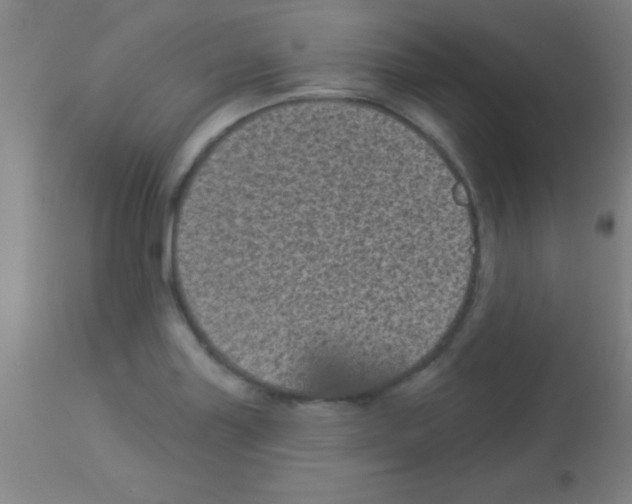 X0000113161227200910161236