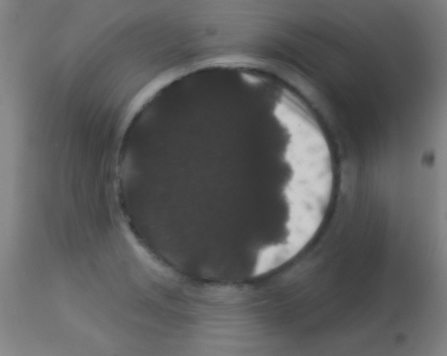 X0000113161229200910161236