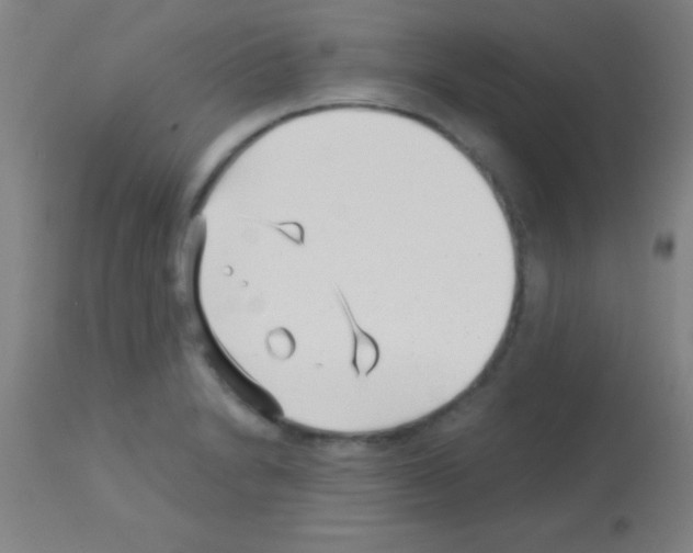 X0000113161230200910161236