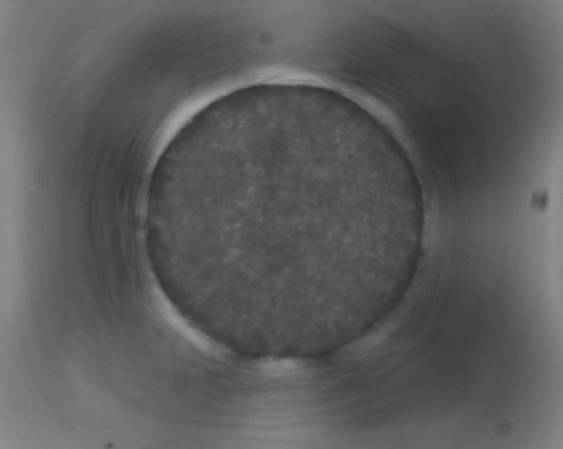 X0000113161231200910161236