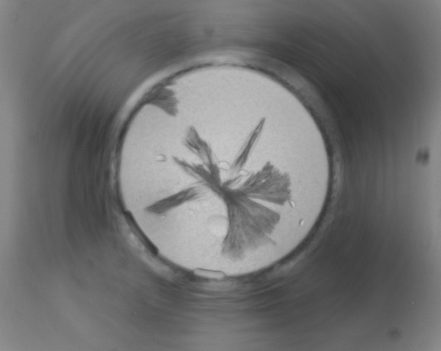 X0000113161232200910161236