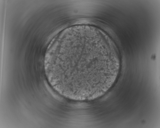 X0000113161233200910161236