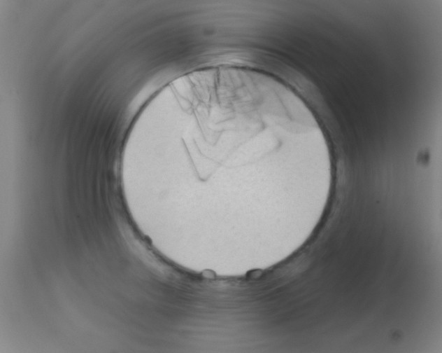 X0000113161234200910161236