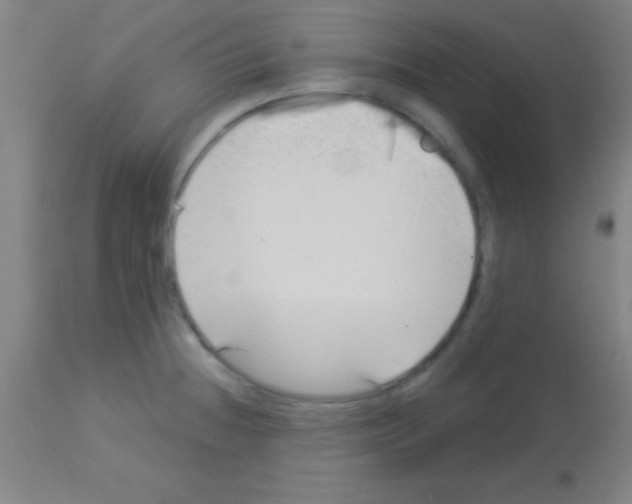 X0000113161236200910161236