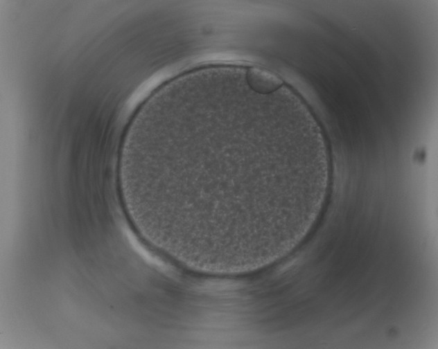 X0000113161237200910161236