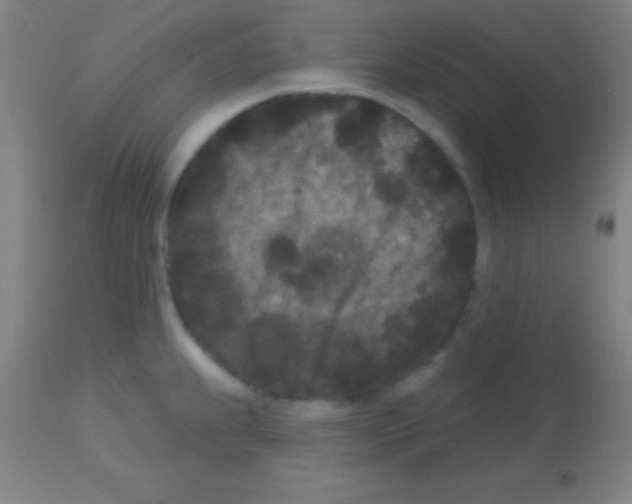 X0000113161239200910161236